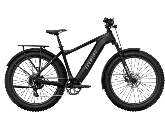 Aventon Aventure 3 Step Over eBike