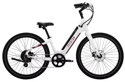 Pace 500 .3 Step-Through Ebike