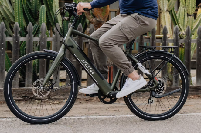 Pace 500 .3 Step-Over Ebike
