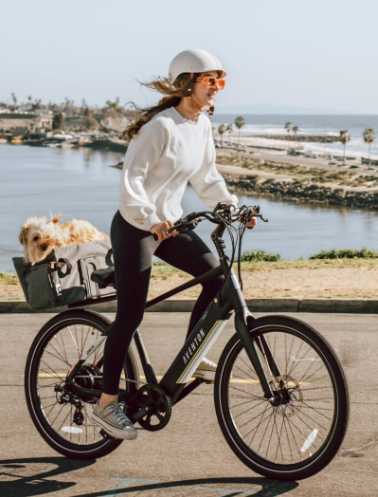Pace 500 .3 Step-Over Ebike