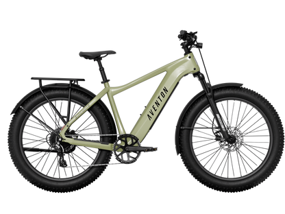 Aventon Aventure 3 Step Over eBike