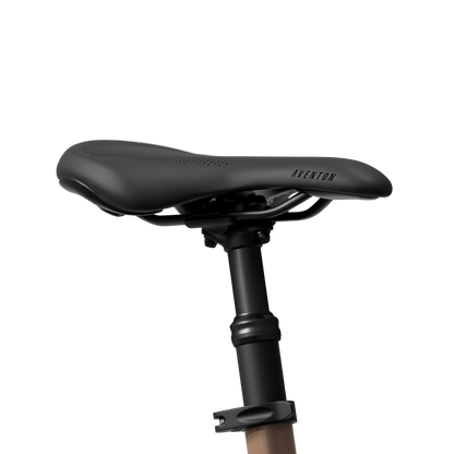 Aventon Aventure 3 Step Through eBike