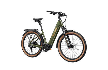 Velotric Discover M eBike