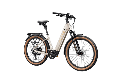 Velotric Discover M eBike