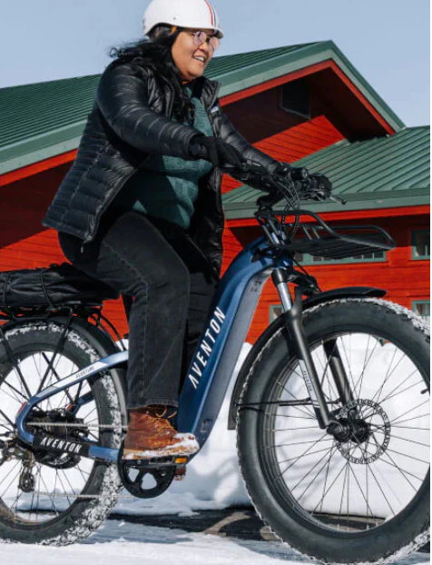 Aventure .2 Step-Through eBike