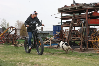 Grizzly Electric Scooter